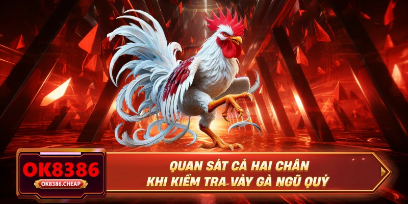 Quan sát cả hai chân khi kiểm tra vảy gà ngũ quý